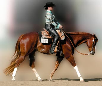 Cruiser Horsemanship