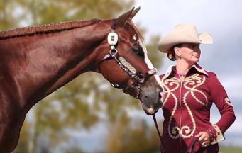 Fancy Dot Com & Jennifer Barbee