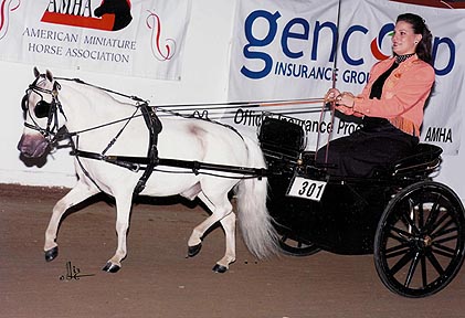 2002 AMHA Nationals - Finalist in Amateur Country Pleasure Driving, Level 1