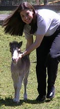 baby11.jpg (16433 bytes)