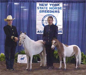 breeders.jpg (23189 bytes)