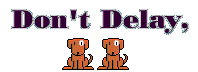 Spay Your Pet