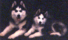 [Alaska & Juneau]