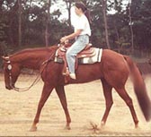 The Riding Ring