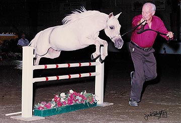 AMHR Nationals - Top Ten Open Hunter - 2001