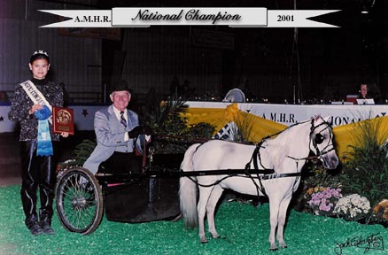 National Champion Golden Age Pleasure Driving, Jim Curry at the Whip, AMHR Nationals, 2001