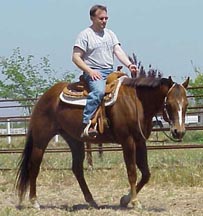 missyscott.jpg (21413 bytes)