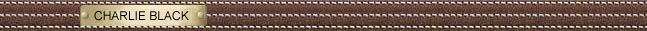 stitching_charlieblack.jpg (9737 bytes)